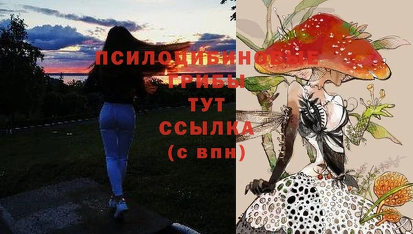 ALPHA-PVP Алзамай