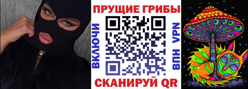 магазин    Курчалой  Псилоцибиновые грибы Psilocybe 