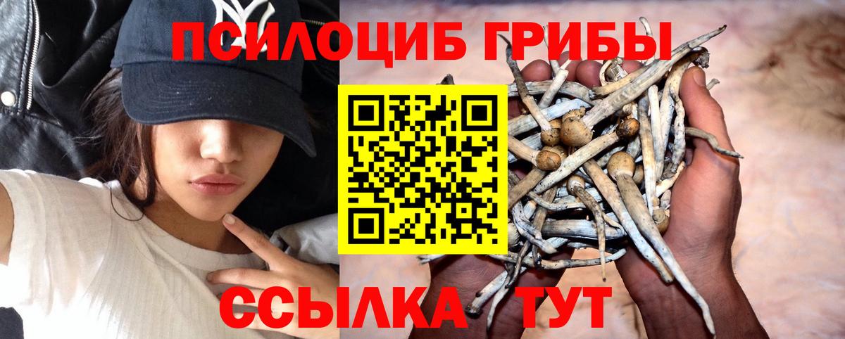 Псилоцибиновые грибы прущие грибы  Вход с VPN  Курчалой 